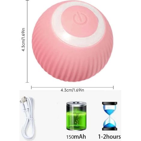 JeiibrZui Mini Scarabée - Jouet interactif électrique pour chat - 5 pièces - Plastique durable - Mouvements réalistes - Pour l'intérieur et l'extérieur (1/5)
