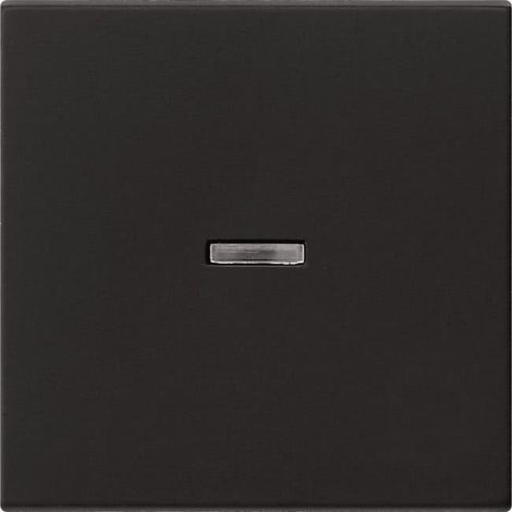 Copertura interruttore Gira 0290005 plastica superficie