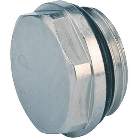 Bouchon laiton chrome M 1 2 WATTS 22L0258115