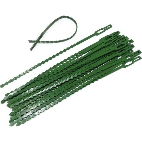 Attaches réglables pour plantes lot de 30 - Liens de serrage en plastique pour jardin - Serre câbles réutilisables pour plantes vertes et arbustes, Vert (1/4)