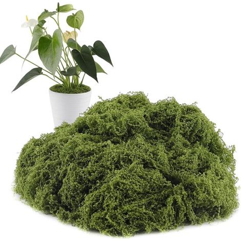 Mousse artificielle - Mousse verte simulée - Idéale pour les loisirs créatifs - 150 g - Convient pour les plantes en pot, la décoration (murale, centrale de table, paysages miniatures, etc.) - Vert fo (1/5)