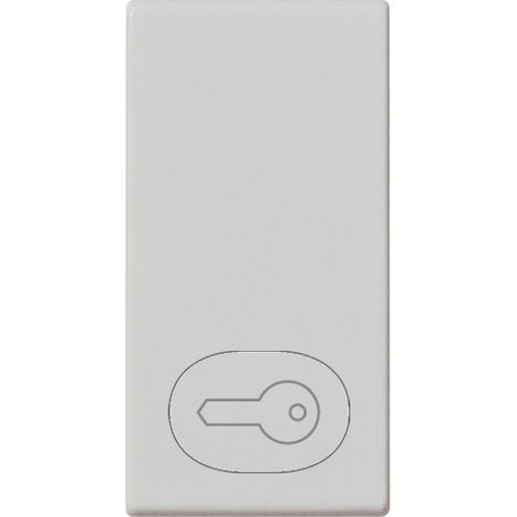 VIMAR - 14021.P.SL 1M símbolo de llave Plata