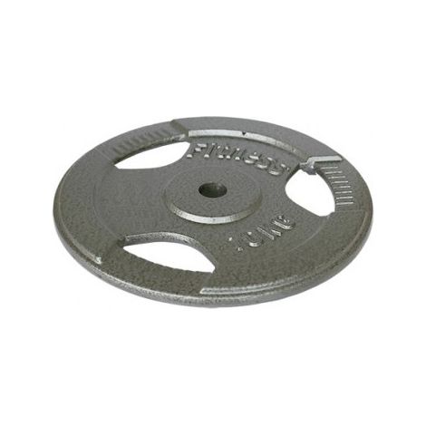 Disque en fer avec prise - 10 kg