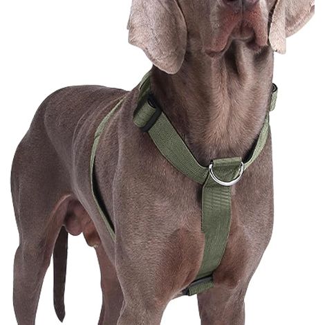 Harnais pour Chien, Harnais Anti Traction pour Chien avec Rembourrée, Harnais pour Animaux de Compagnie Ajustable pour Chiens de Taille Moyen et Gros, Confortable et (Vert, L)