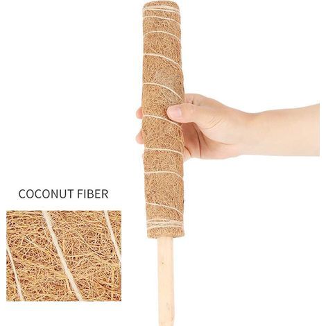 Lot de 4 tuteurs en fibre de coco de 450 mm pour plantes grimpantes. Support pour plantes grimpantes. Extension idéale pour le tuteurage. (1/5)