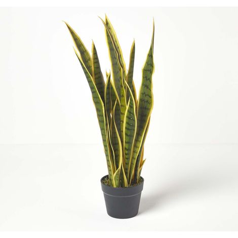 Homescapes Plante artificielle Langue de belle-mère panachée en pot, 74 cm (1/5)