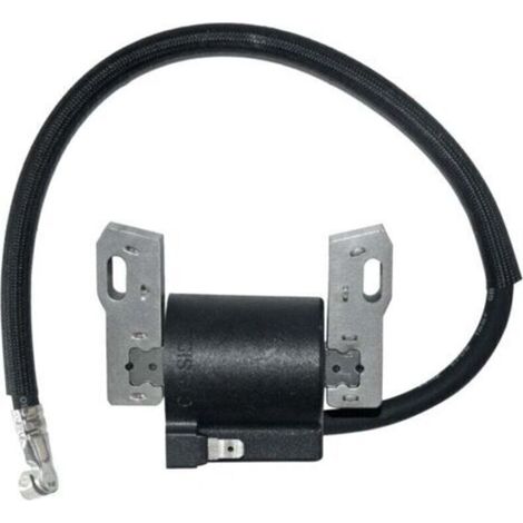 Bobine d'allumage pour Briggs Stratton 591420 398593 496914 793281 792395 -..