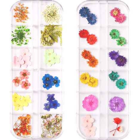 2 boîtes de fleurs séchées pour ongles, décoration pour manucure, mélange de fleurs séchées (1/5)