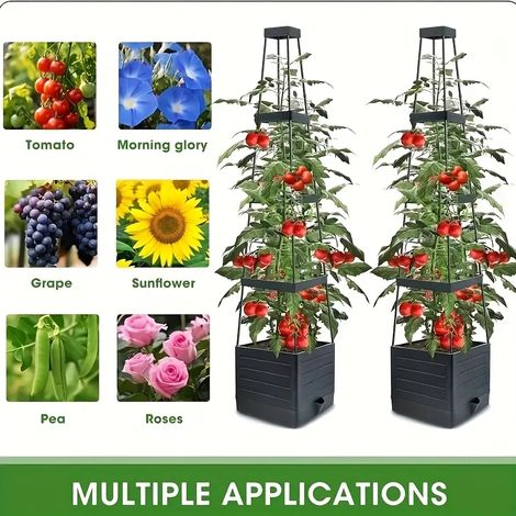 (Base à motif Teng) Cage à tomates avec bac de plantation à arrosage automatique et grille de support pour plantes grimpantes, idéale pour les cours et jardins. (1/4)