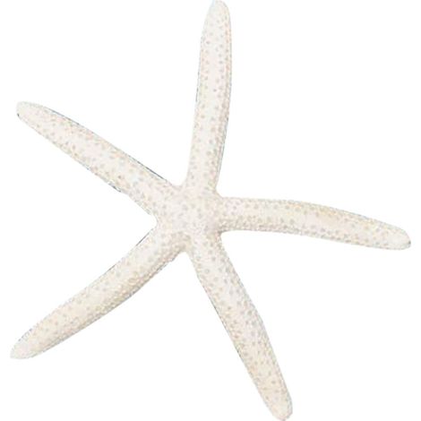 Ornement En Résine Forme D'étoile De Mer - 4 Pouces - Décoration Côtière Pour Aquarium Table De Mariage Et Projets Artisanaux - Lot De 1 (1/5)