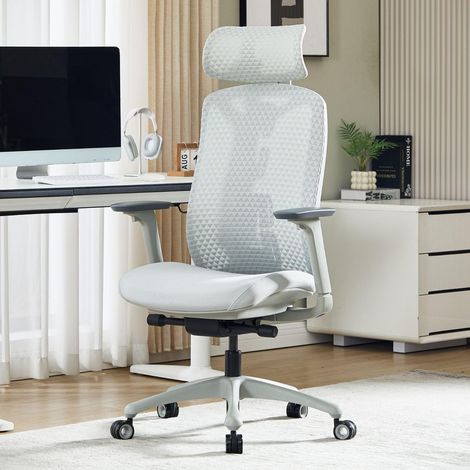 Wahson Ergonomic High-Back Desk Chair, Computer Office Chair with Adjustable Lumbar Support, 3D Armrests & Headrest, Grey (1/5)
