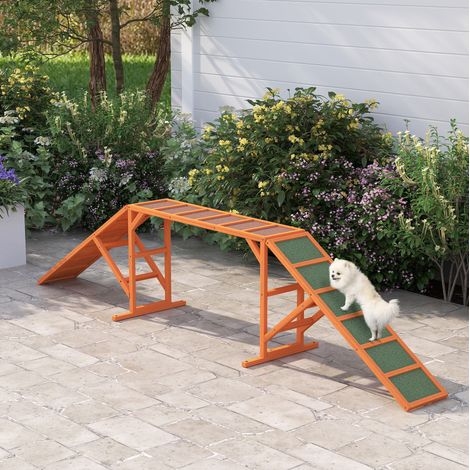 Rampe agility per cani 325 x 55 x 69 cm antiscivolo arancione HAVRYA (1/5)