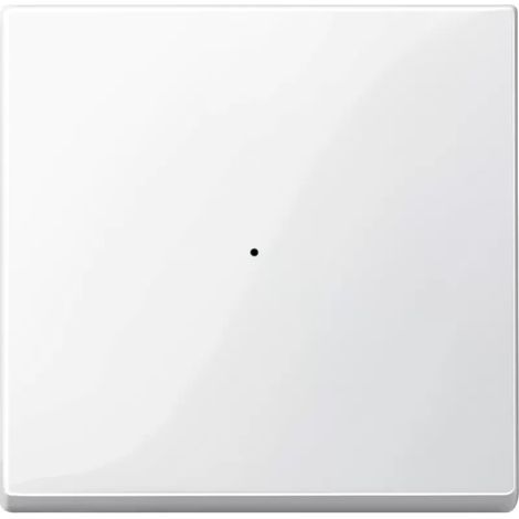 Merten Wippe 619119 polarweiss glaenzend System M (1/2)