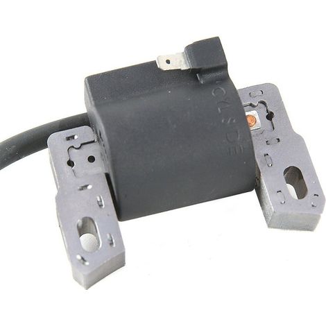 Bobine d'allumage pour moteur Briggs & Stratton 590454 (1/3)