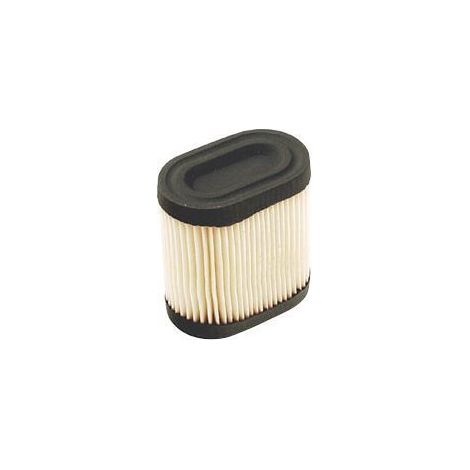 Filtro aria tagliaerba rasaerba TECUMSEH LEV100 LEV115 OVRM105