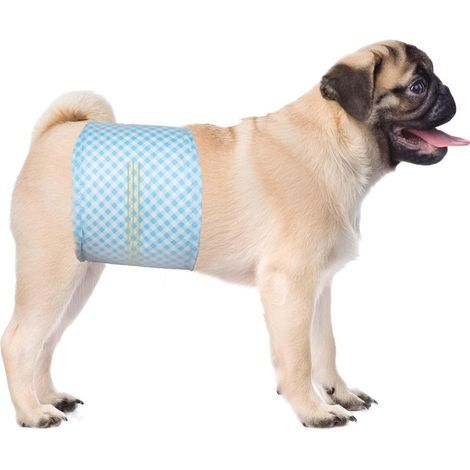 Lot de 40 Couches jetables pour Chien mâle, Taille M, Couches Douces pour Chiens mâles, Super Absorbantes et Anti-fuites avec Indicateur d'humidité (1/5)