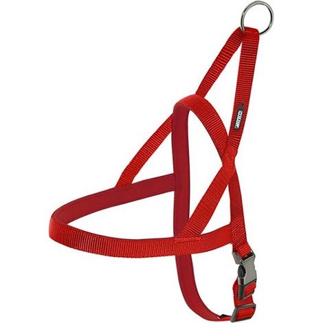 ARNÉS NEOPRENO ROJO 15mm x 54-60cm