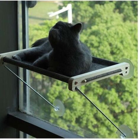 Pair ZVD-Chaise Longue de Fenêtre pour Chat, Hamac pour Chat en Bois Massif, Chat de Rebord de Fenêtre Transparent, Facile à Monter, Capacité de Charge