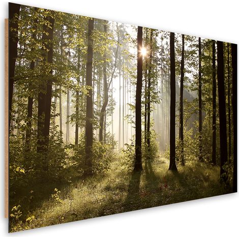 Quadro deco panel, Mattina nella foresta - 90x60 (1/5)