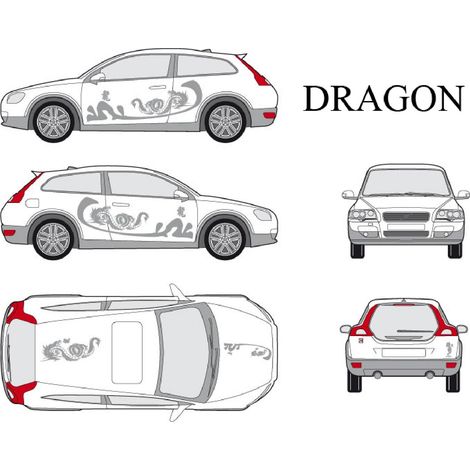 Set complet Adhesifs -DRAGON- Argent - Taille M - Car Deco