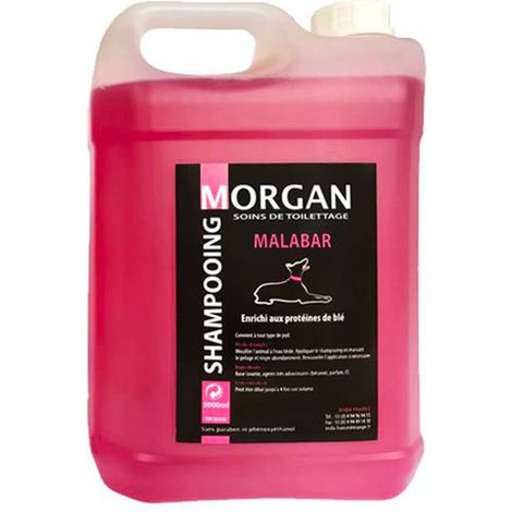 Shampoing protéiné senteur Malabar Morgan : 5 litres