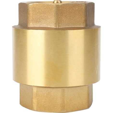 Clapet anti-retour laiton fileté haute précision pour eau, gaz, huile (G1'') (1/5)