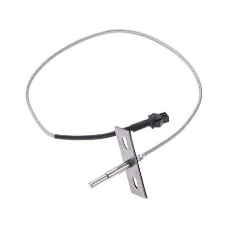 Sonde de température RTD durable pour fumoirs verticaux (1/5)