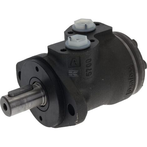 Motor orbital OMPX25 eje 酶25 A2 RAL9005 WHITE OMPX2511186715 (1/4)
