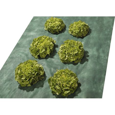 Tecplast – Toile de paillage 1x15 m – Toile non tissée PEHD – Traitement anti-UV – Réduit l'usage des herbicides – Maintient l'humidité du sol (1/5)