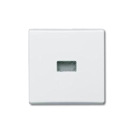 Busch-Jaeger Wippe aws Kontroll-Wechsel 2107-34 (1/5)