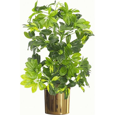 75cm Artificial Arboricola Gold Capella Plant - Gold Metal Planter (1/3)