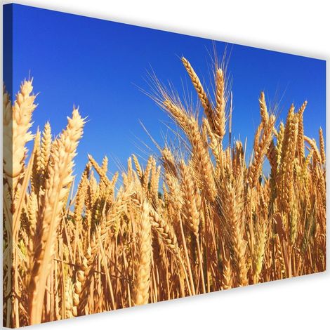 Tableau sur toile Epi Récolte Nature Or 60x40 (1/5)
