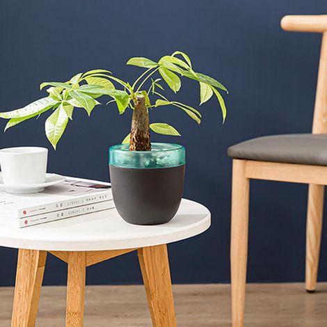 Autopot auto-arrosant pot de fleur double couche design intérieur bureau maison jardin (1/5)