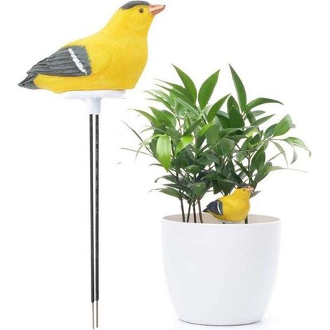 Capteur D'Humidité Sol Alarme Arrosage Plantes Jardin Testeur Eau Hygromètre Avertissement (1/4)