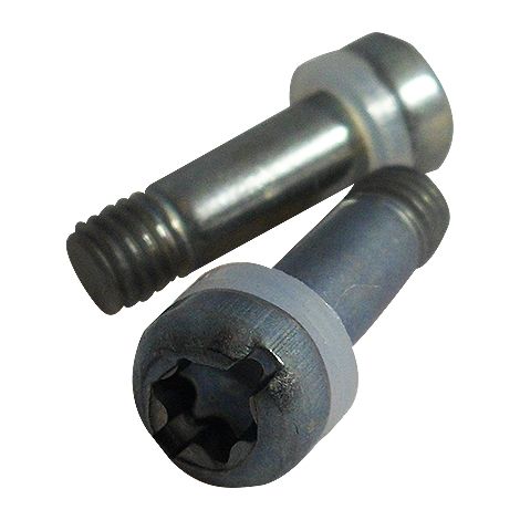 Zurfluh Feller – Vis de genouillère M5 – Acier revêtu zinc et nickel – Rondelle en polyamide naturel – Empreinte mixte fendue et torx 25