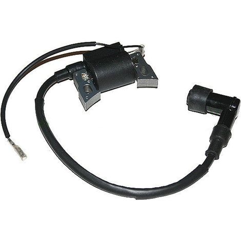 Accensione elettronica motore Honda G100 compatibile
