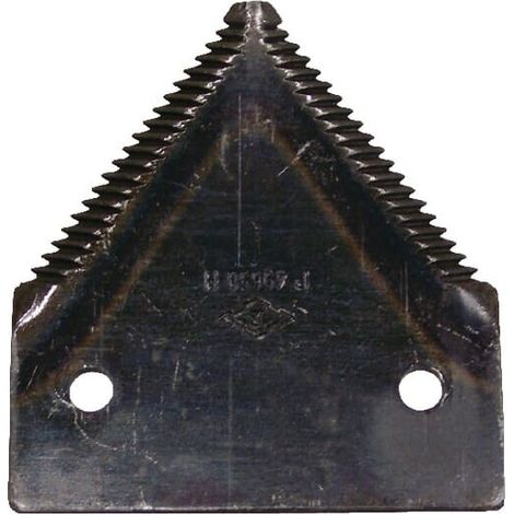 Section ALPINA P49650N