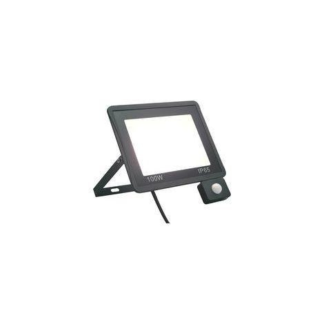 Crezuo 100W Kaltweißer LED-Fluter mit Bewegungsmelder (1/4)