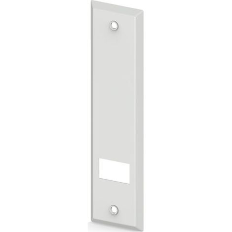 Standard-Deckplatte für Einlassgurtroller, Lochabstand 161 mm, weiß (1/2)
