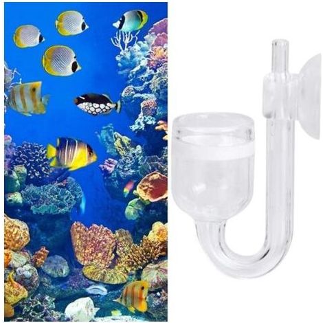 Diffuseur datomiseur de CO2, raffineur aquarium de Fabrication Professionnelle en Verre (1/5)