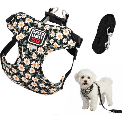 Harnais Chat Petit Chien Réfléchissant, Réglable Laisse Harnais Chaton Animal de Compagnie, Respirant Step-in Gilet Rembourré pour Chat Petit Chien (Noir) (1/5)