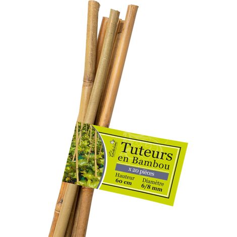 La Cordeline Set di 20 tutor in bambù LTB60-20, naturale (1/4)