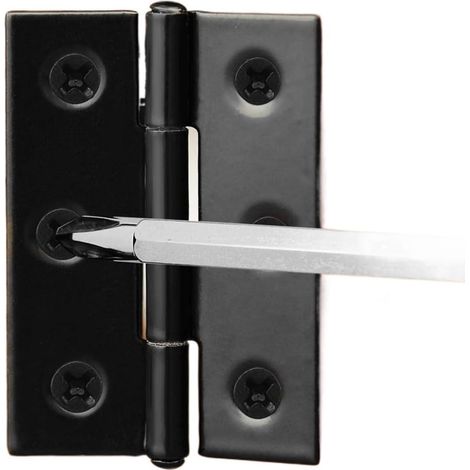 Charnières à paumelle repliables, Charnières de porte en inox (1/5)