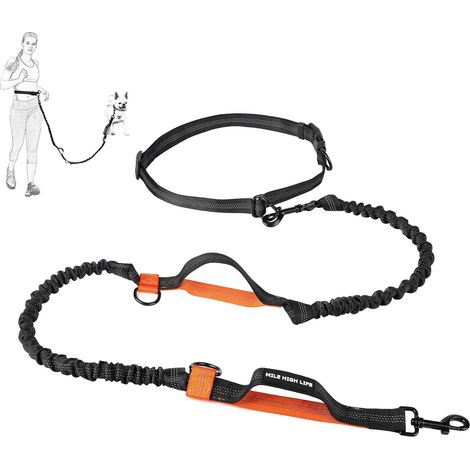 1 Laisse Rétractable, Mains Libres, 2m, Réfléchissante, pour Chien jusqu'à 50 Kg (1/5)
