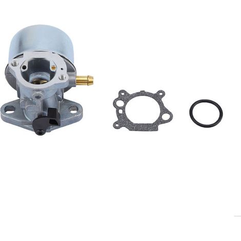 Carburateur pour Moteur Briggs & Stratton - Compatible 497586, 498170, 799868, 498254, 497314 (1/5)