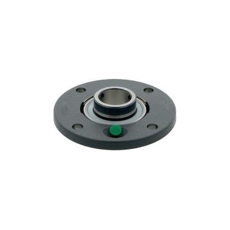 INA Flanschlager-Gehäuseeinheit PMEY45 45 mm rund (1/2)