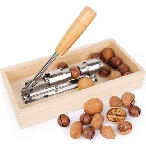Nutcracker for walnuts and hazelnuts, professional nutcracker, stainless steel nutcracker, nutcracker, ideal for dry and shelled nuts such as walnuts, almonds and hazelnuts (1/4)