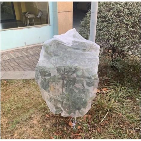 Filet De Protection Plantes - Filet Anti-Insectes Et Oiseaux En Polyéthylène - Pour Jardin Extérieur Et Serre - 2 Pièces (1/5)