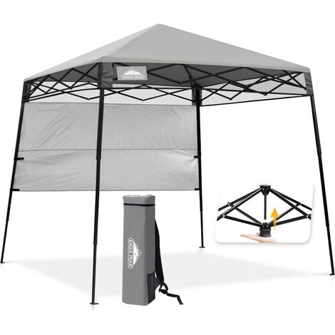 Tonnelle Pliante 2,4x2,4 m, Auvent Sac à Dos, Gris Clair (1/5)