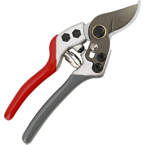 [JAMAIS UTILISÉ]Outil de Coupe Sécateur Arbre fruitier Ciseaux de Jardin Outil de greffage Convient pour Les Jardins et Les pelouses (1/5)